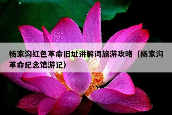 杨家沟红色革命旧址讲解词旅游攻略（杨家沟革命纪念馆游记）