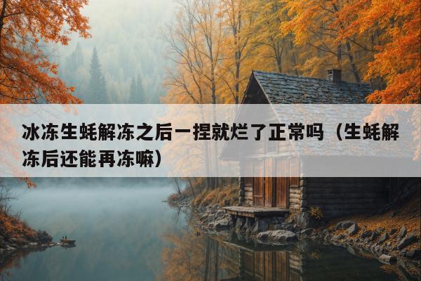 冰冻生蚝解冻之后一捏就烂了正常吗（生蚝解冻后还能再冻嘛）