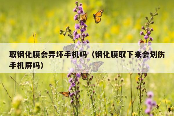 取钢化膜会弄坏手机吗（钢化膜取下来会划伤手机屏吗）