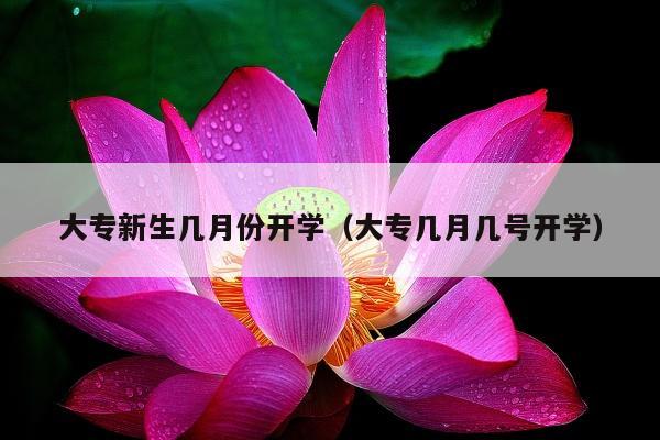 大专新生几月份开学（大专几月几号开学）