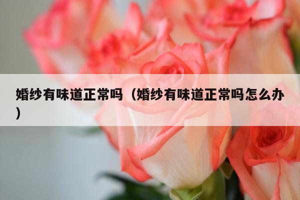 婚纱有味道正常吗（婚纱有味道正常吗怎么办）