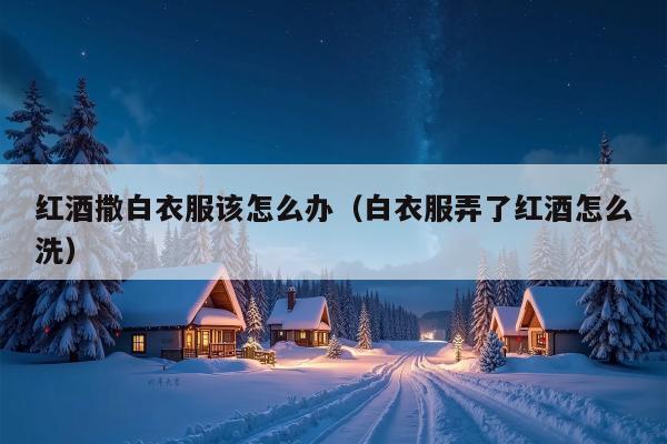 红酒撒白衣服该怎么办（白衣服弄了红酒怎么洗）