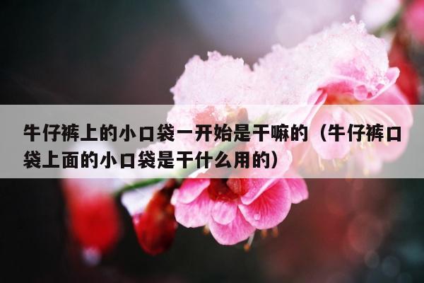 牛仔裤上的小口袋一开始是干嘛的（牛仔裤口袋上面的小口袋是干什么用的）
