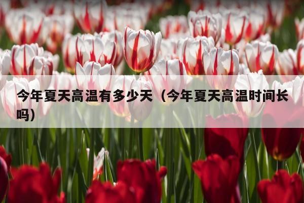 今年夏天高温有多少天（今年夏天高温时间长吗）
