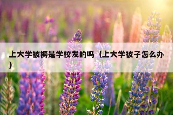 上大学被褥是学校发的吗（上大学被子怎么办）