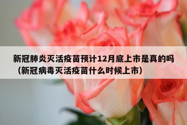 新冠肺炎灭活疫苗预计12月底上市是真的吗（新冠病毒灭活疫苗什么时候上市）