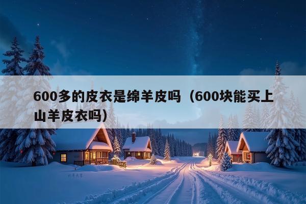 600多的皮衣是绵羊皮吗（600块能买上山羊皮衣吗）