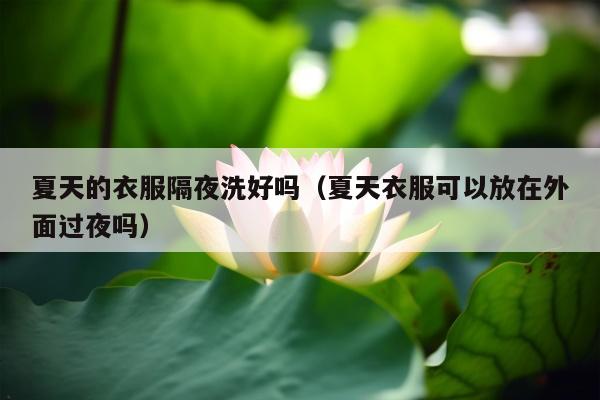 夏天的衣服隔夜洗好吗（夏天衣服可以放在外面过夜吗）
