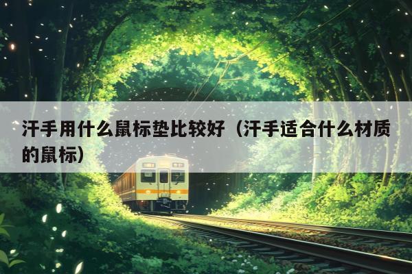 汗手用什么鼠标垫比较好（汗手适合什么材质的鼠标）