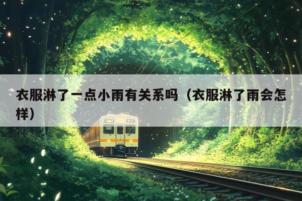 衣服淋了一点小雨有关系吗（衣服淋了雨会怎样）