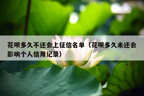 花呗多久不还会上征信名单（花呗多久未还会影响个人信用记录）