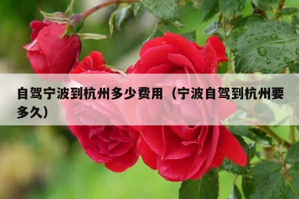 自驾宁波到杭州多少费用（宁波自驾到杭州要多久）