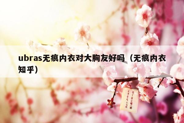 ubras无痕内衣对大胸友好吗（无痕内衣知乎）