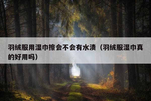 羽绒服用湿巾擦会不会有水渍（羽绒服湿巾真的好用吗）