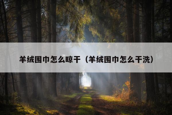 羊绒围巾怎么晾干（羊绒围巾怎么干洗）