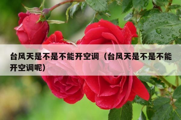 台风天是不是不能开空调（台风天是不是不能开空调呢）