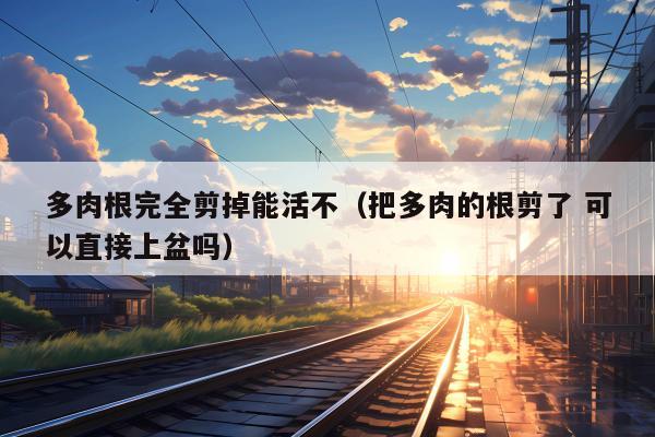 多肉根完全剪掉能活不（把多肉的根剪了 可以直接上盆吗）