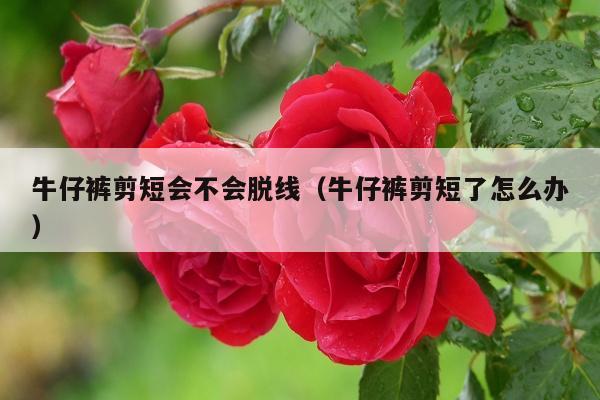 牛仔裤剪短会不会脱线（牛仔裤剪短了怎么办）
