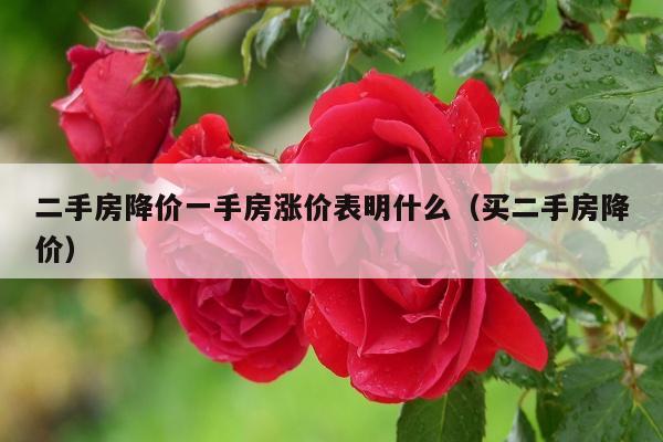 二手房降价一手房涨价表明什么（买二手房降价）