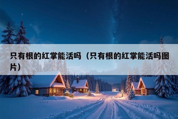 只有根的红掌能活吗（只有根的红掌能活吗图片）