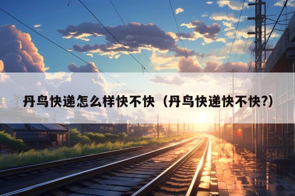 丹鸟快递怎么样快不快（丹鸟快递快不快?）