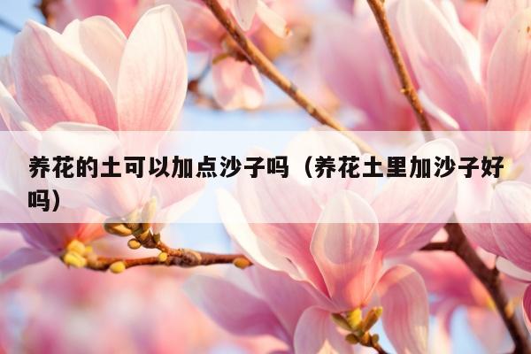 养花的土可以加点沙子吗（养花土里加沙子好吗）