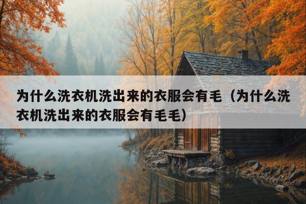 为什么洗衣机洗出来的衣服会有毛（为什么洗衣机洗出来的衣服会有毛毛）
