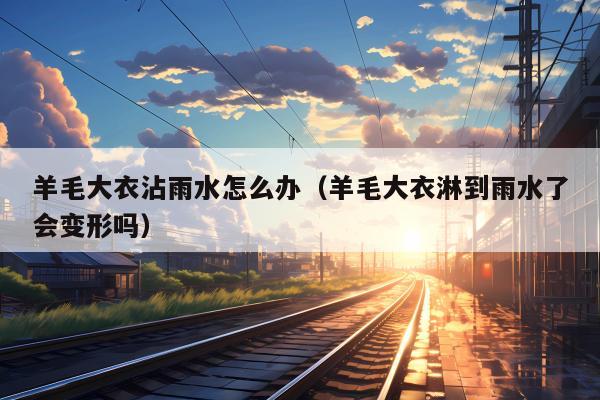 羊毛大衣沾雨水怎么办（羊毛大衣淋到雨水了会变形吗）