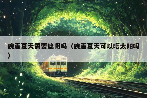 碗莲夏天需要遮阴吗（碗莲夏天可以晒太阳吗）