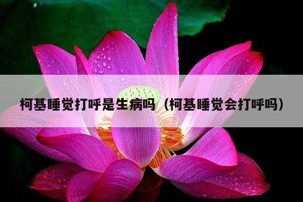 柯基睡觉打呼是生病吗（柯基睡觉会打呼吗）