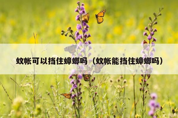 蚊帐可以挡住蟑螂吗（蚊帐能挡住蟑螂吗）