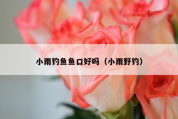 小雨钓鱼鱼口好吗（小雨野钓）