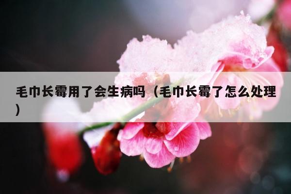 毛巾长霉用了会生病吗（毛巾长霉了怎么处理）