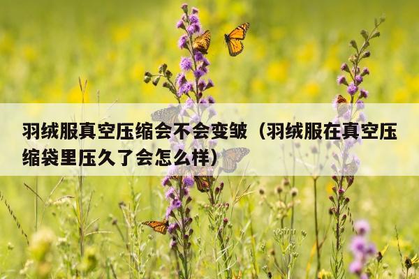 羽绒服真空压缩会不会变皱（羽绒服在真空压缩袋里压久了会怎么样）