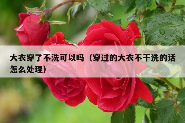 大衣穿了不洗可以吗（穿过的大衣不干洗的话怎么处理）