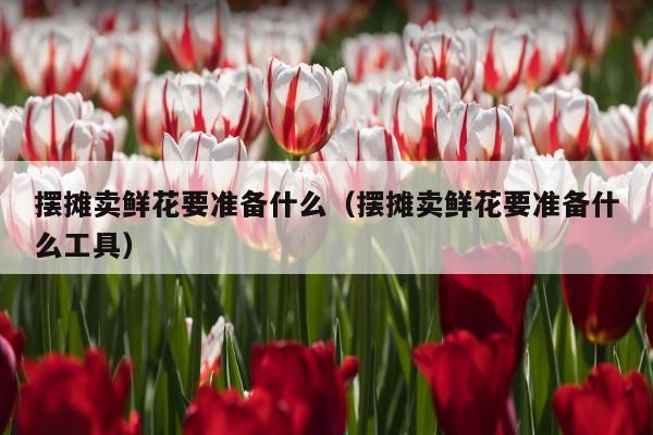 摆摊卖鲜花要准备什么（摆摊卖鲜花要准备什么工具）