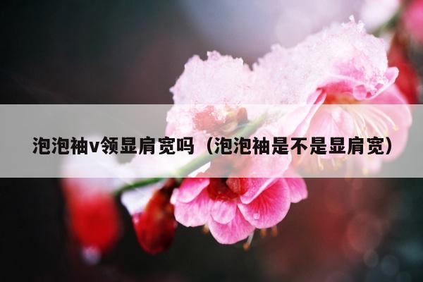 泡泡袖v领显肩宽吗（泡泡袖是不是显肩宽）