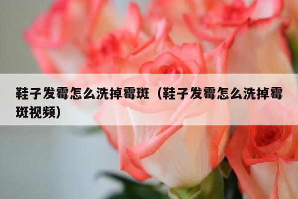 鞋子发霉怎么洗掉霉斑（鞋子发霉怎么洗掉霉斑视频）