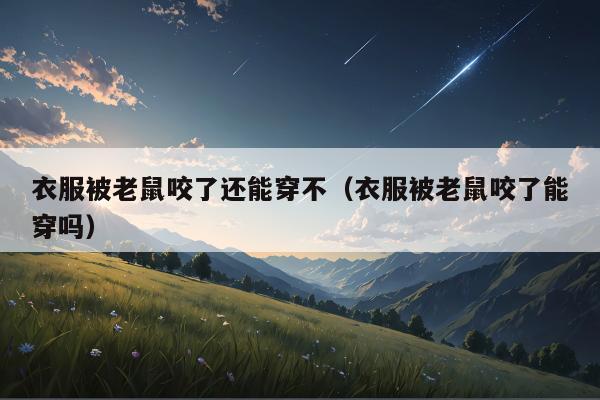 衣服被老鼠咬了还能穿不（衣服被老鼠咬了能穿吗）