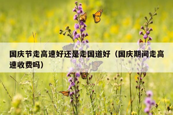 国庆节走高速好还是走国道好（国庆期间走高速收费吗）