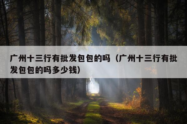 广州十三行有批发包包的吗（广州十三行有批发包包的吗多少钱）