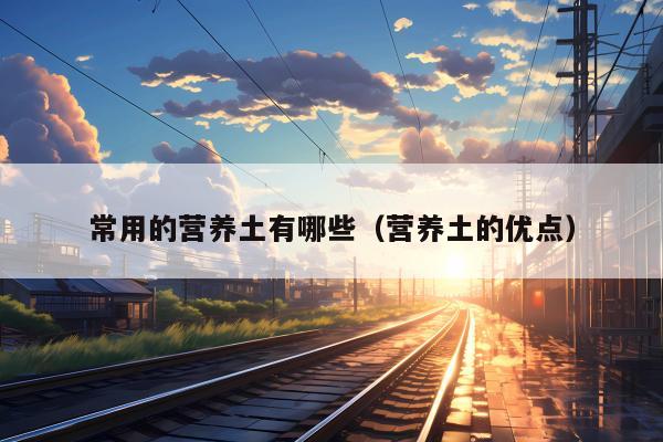常用的营养土有哪些（营养土的优点）