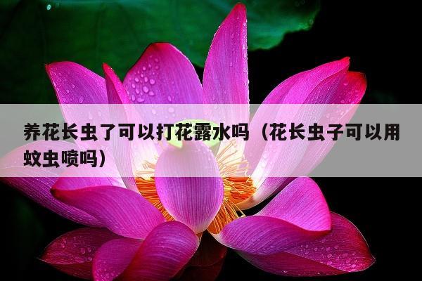 养花长虫了可以打花露水吗（花长虫子可以用蚊虫喷吗）