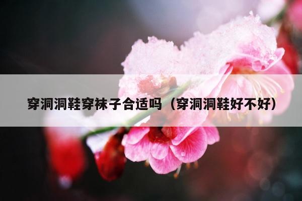 穿洞洞鞋穿袜子合适吗（穿洞洞鞋好不好）