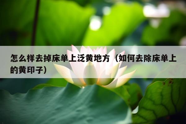 怎么样去掉床单上泛黄地方（如何去除床单上的黄印子）