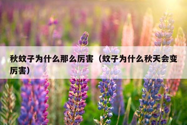秋蚊子为什么那么厉害（蚊子为什么秋天会变厉害）