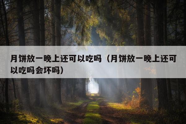 月饼放一晚上还可以吃吗（月饼放一晚上还可以吃吗会坏吗）