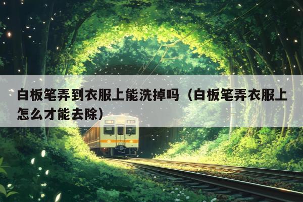 白板笔弄到衣服上能洗掉吗（白板笔弄衣服上怎么才能去除）