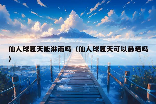 仙人球夏天能淋雨吗（仙人球夏天可以暴晒吗）