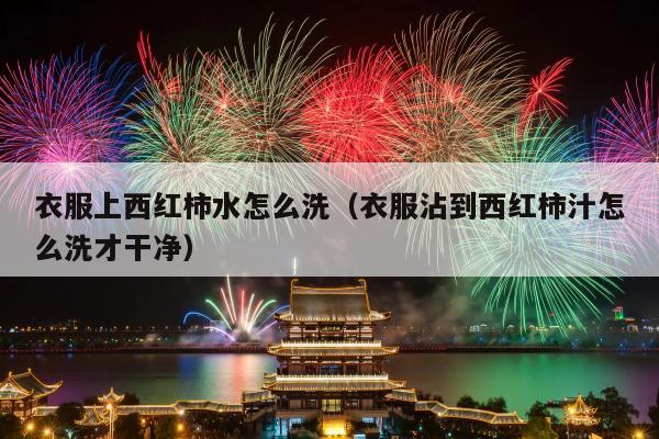 衣服上西红柿水怎么洗（衣服沾到西红柿汁怎么洗才干净）